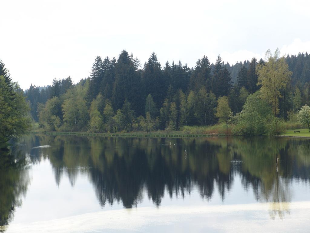 Hotel Waldsee Lindenberg im Allgäu Exterior foto
