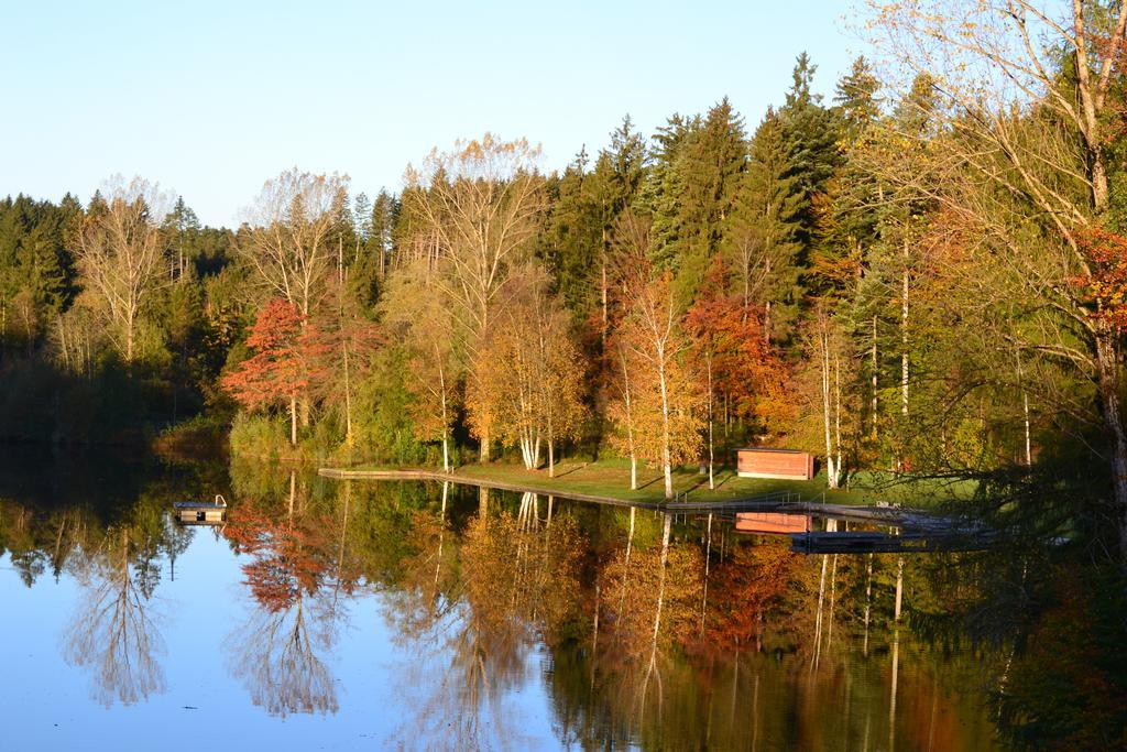 Hotel Waldsee Lindenberg im Allgäu Exterior foto