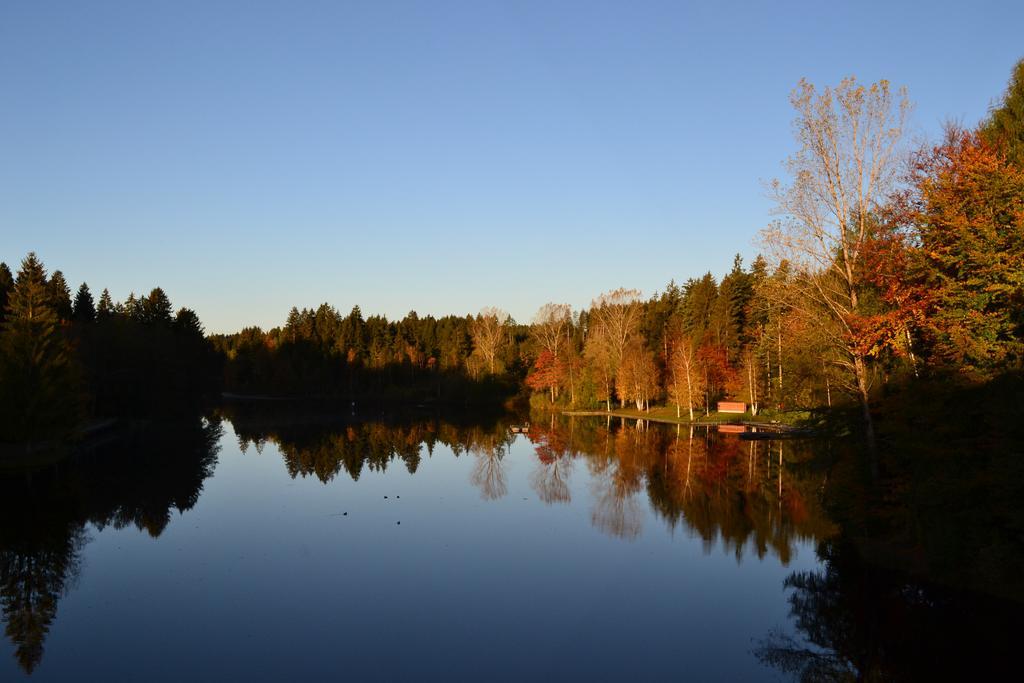 Hotel Waldsee Lindenberg im Allgäu Exterior foto
