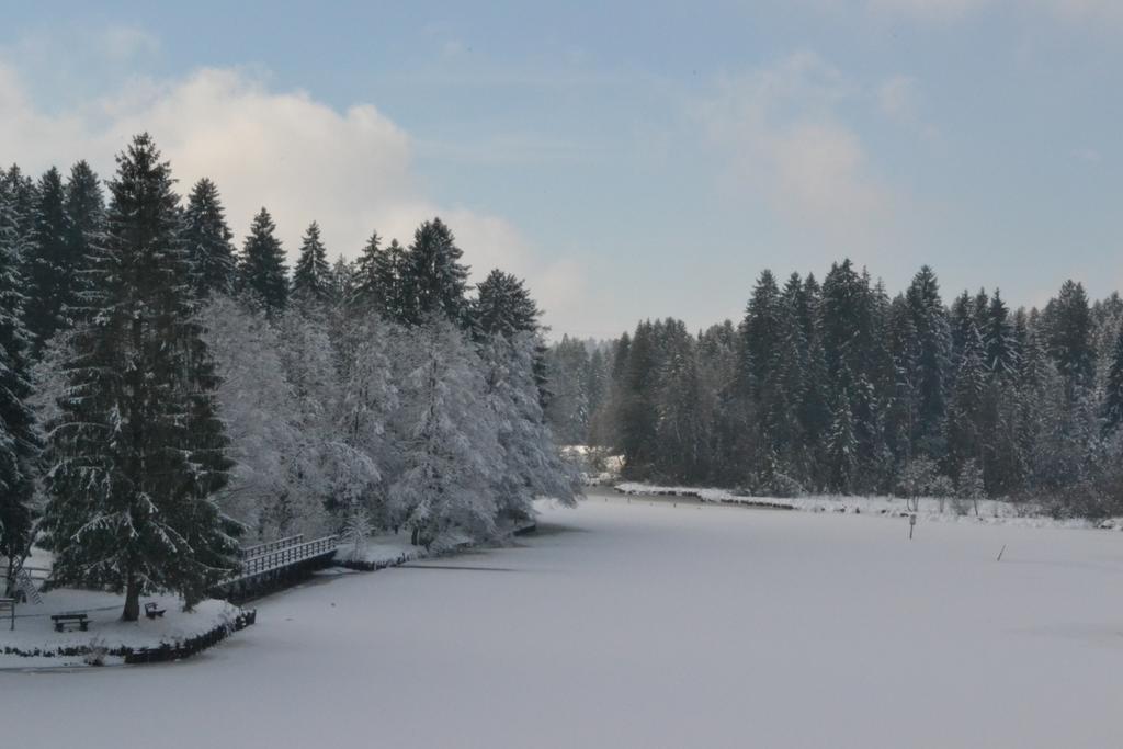 Hotel Waldsee Lindenberg im Allgäu Exterior foto