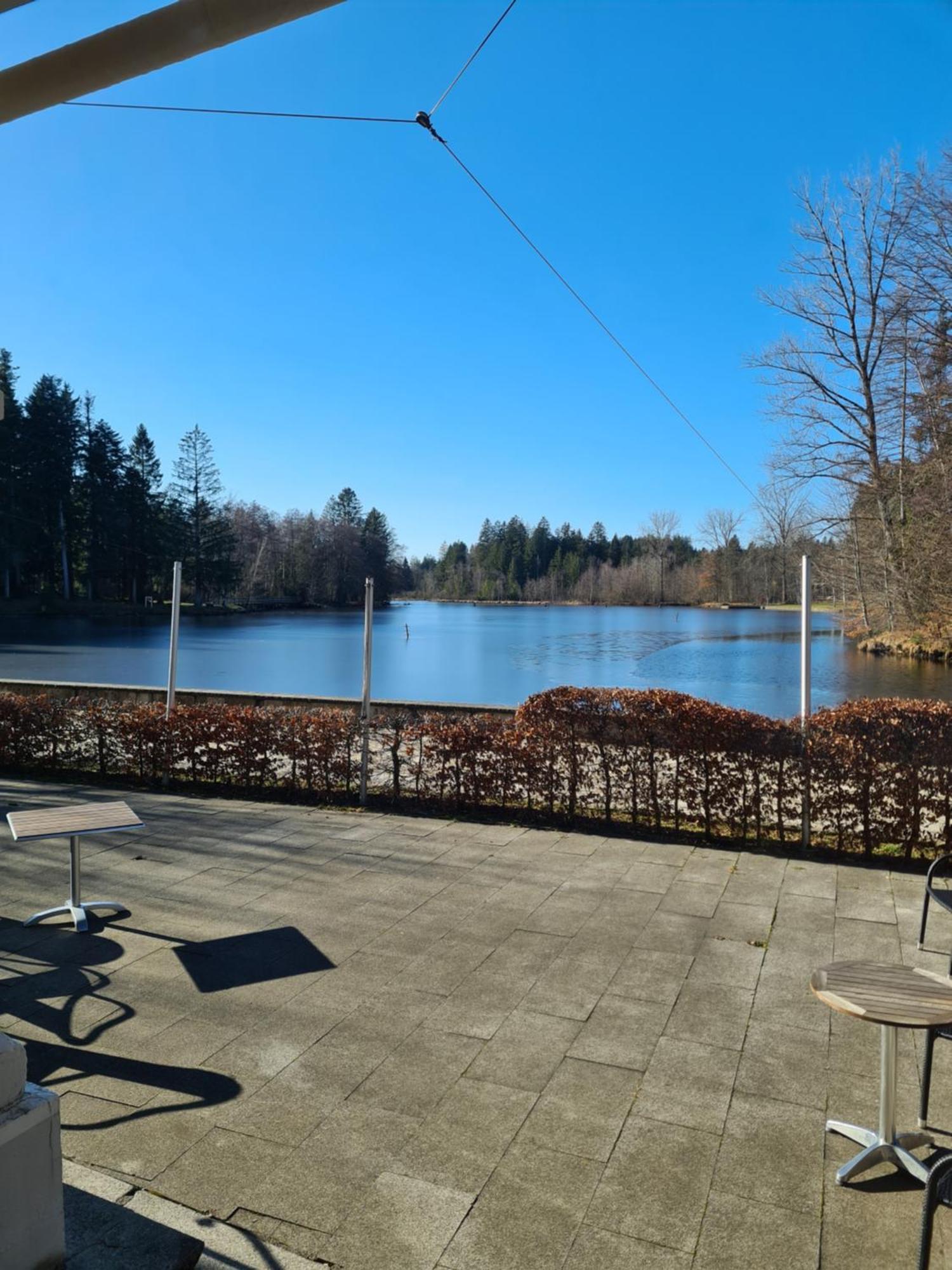 Hotel Waldsee Lindenberg im Allgäu Exterior foto